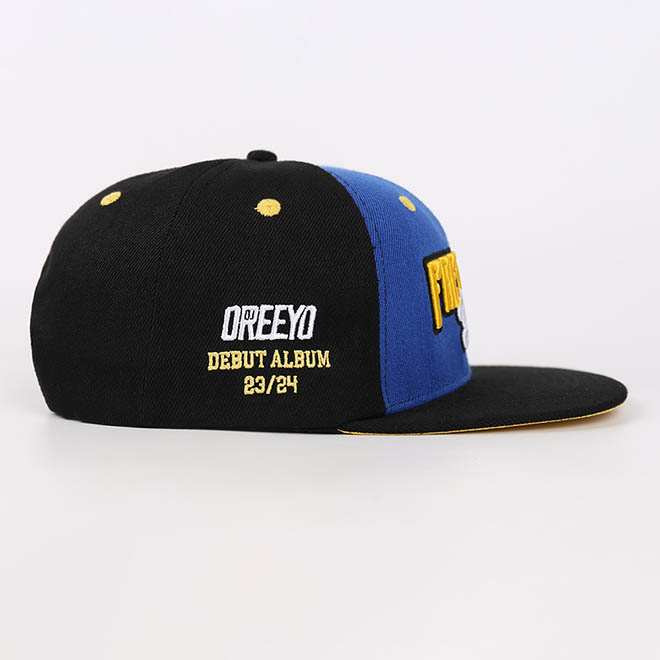 Custom 6 Panel 3D Embroidery Logo Cotton Hip Hop Flat Brim Hat Snapback Cap