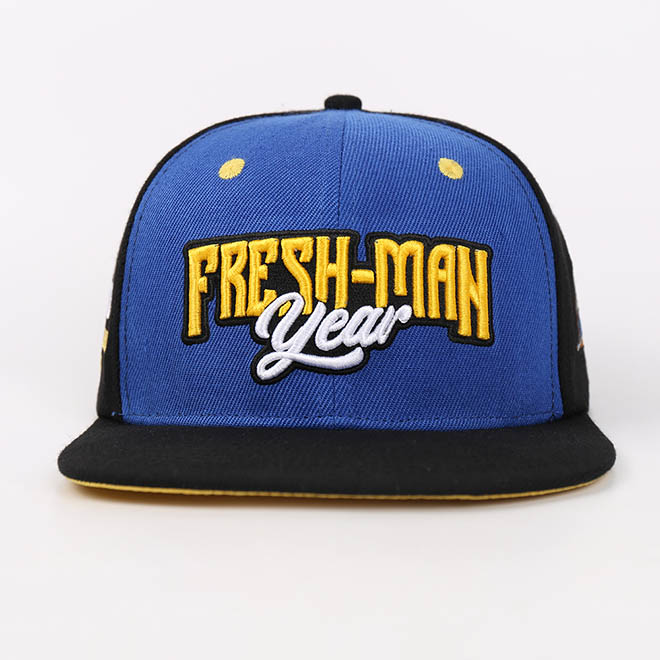 Custom 6 Panel 3D Embroidery Logo Cotton Hip Hop Flat Brim Hat Snapback Cap