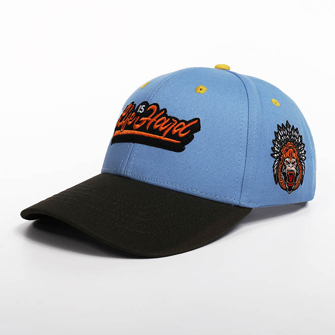 Custom 6 Panel Cotton 2 Tone Embroidery Logo Men Women Hat Baseball Cap